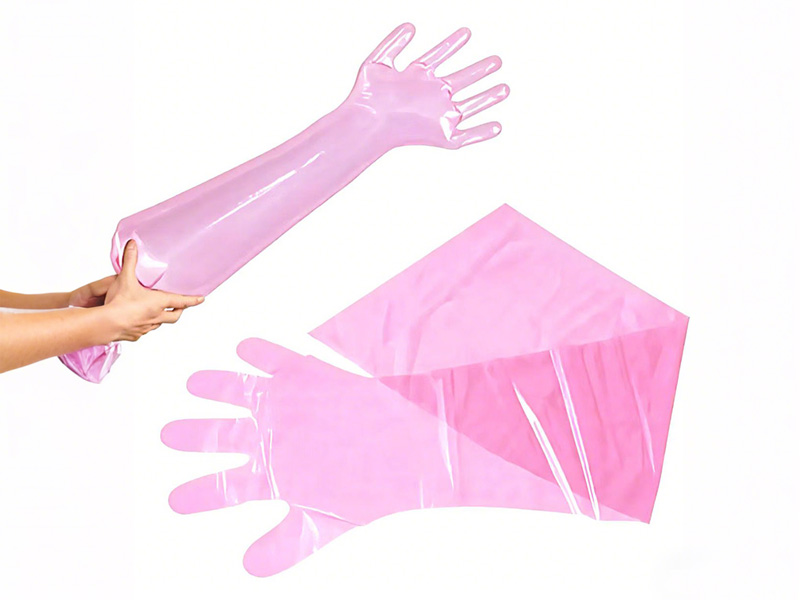 Long Sleeves PE Gloves